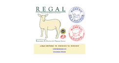 Desktop Screenshot of odgregal.com